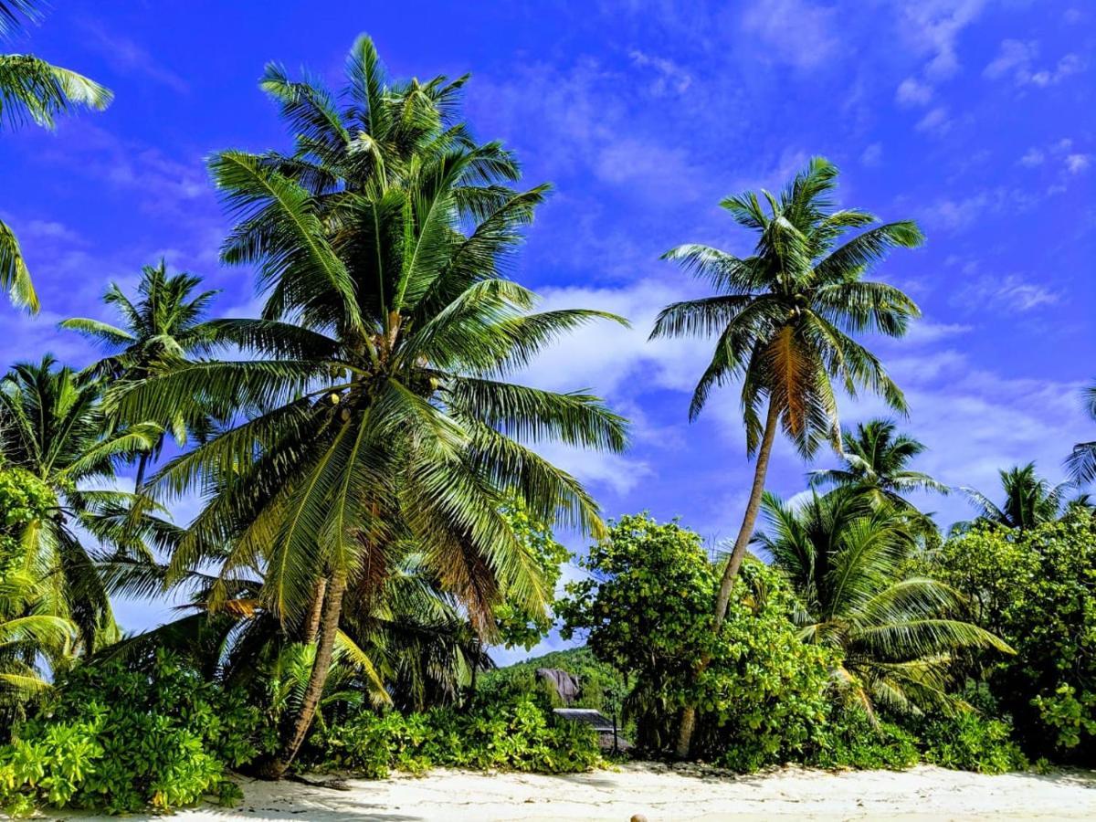 Chalets D'Anse Forbans Selfcatering ทาคามาคา ภายนอก รูปภาพ