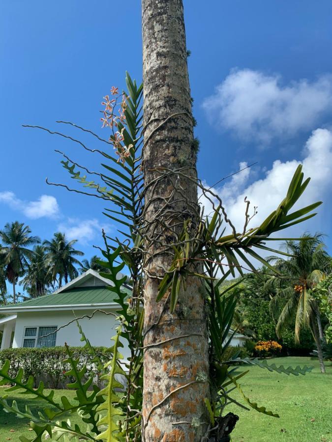 Chalets D'Anse Forbans Selfcatering ทาคามาคา ภายนอก รูปภาพ