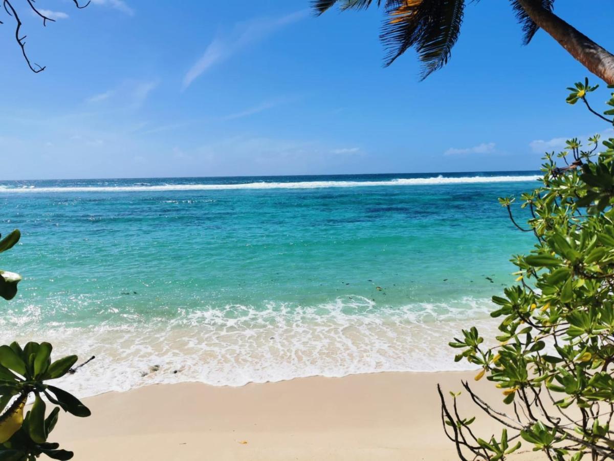 Chalets D'Anse Forbans Selfcatering ทาคามาคา ภายนอก รูปภาพ