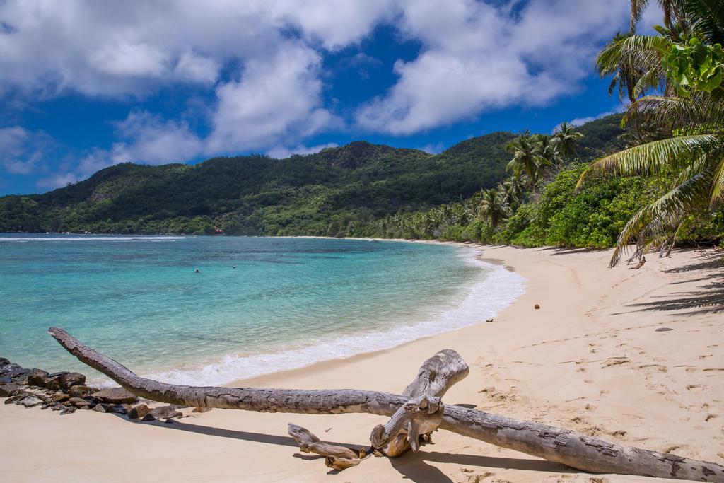 Chalets D'Anse Forbans Selfcatering ทาคามาคา ภายนอก รูปภาพ